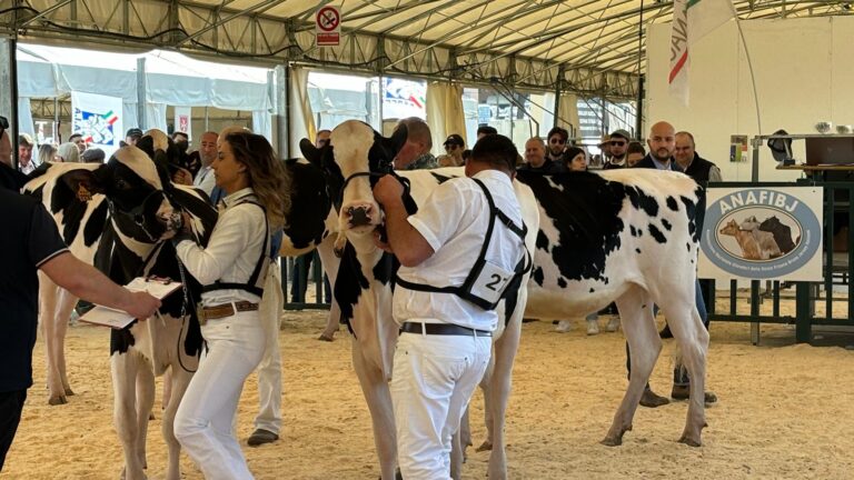 Agriumbria 2024 gallery