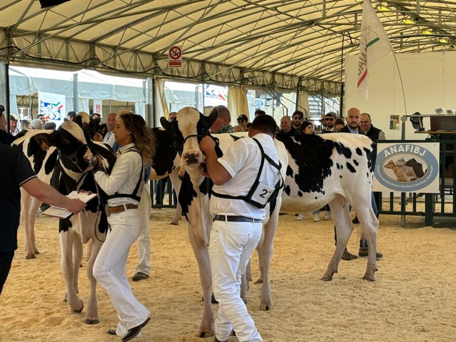 Agriumbria 2024