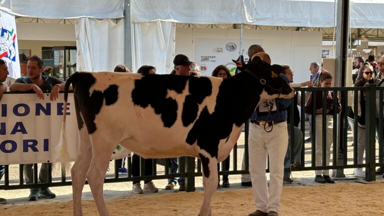 Agriumbria 2024 gallery